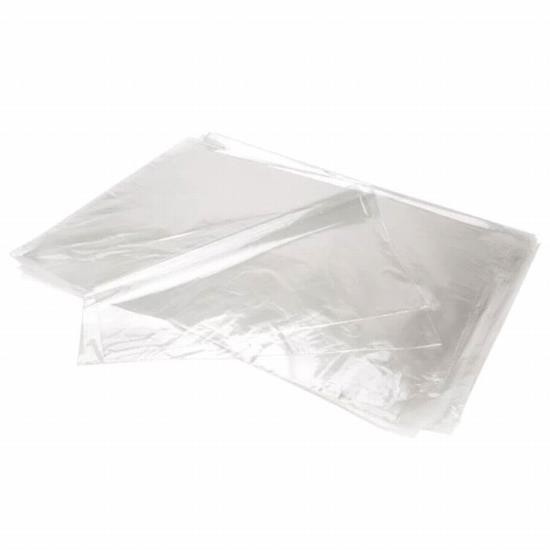 Plastic Poly Bag 10 X 12